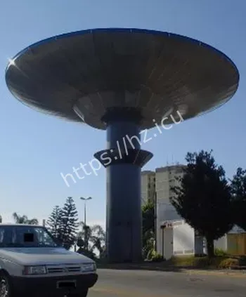 巴西瓦尔吉尼亚